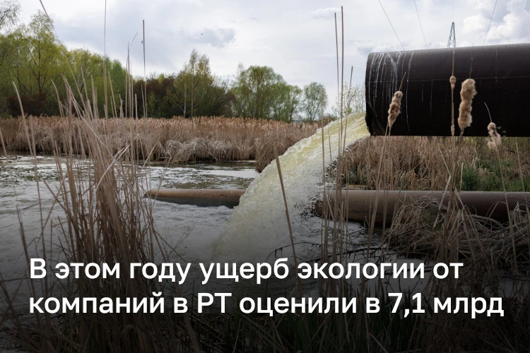 Ущерб экологии от компаний в РТ оценили в 7,1 миллиарда. В этом году с нарушителей взыс...