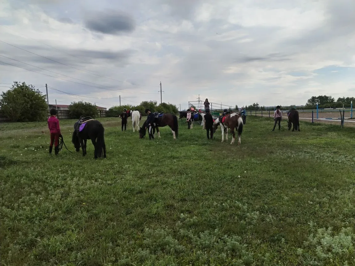 🐎Наши ребята не только усердно тренируются, но и учатся заботиться о своих четвероноги...