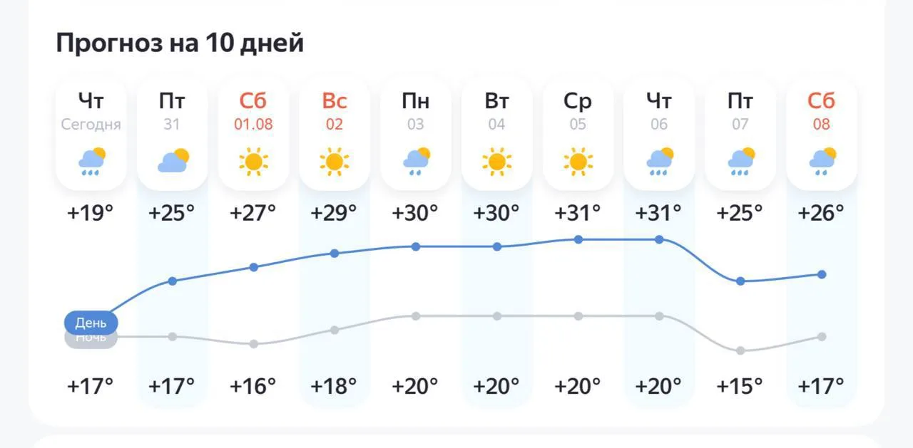 ☀️Лето, наконец, решило порадовать жителей Воронежа своим присутствием!

Похоже, дожди отступают: на