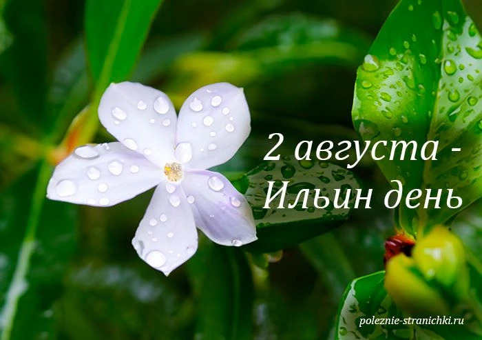 ☀️Приметы 2 августа в Ильин день.