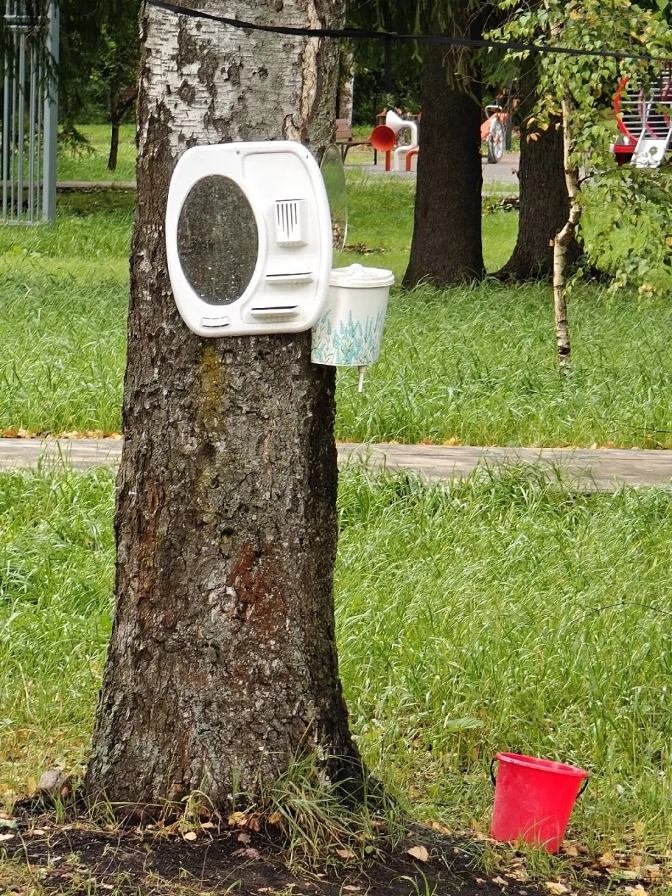 Уровень комфорта: «эко-люкс» в сквере в Депо🌲✨