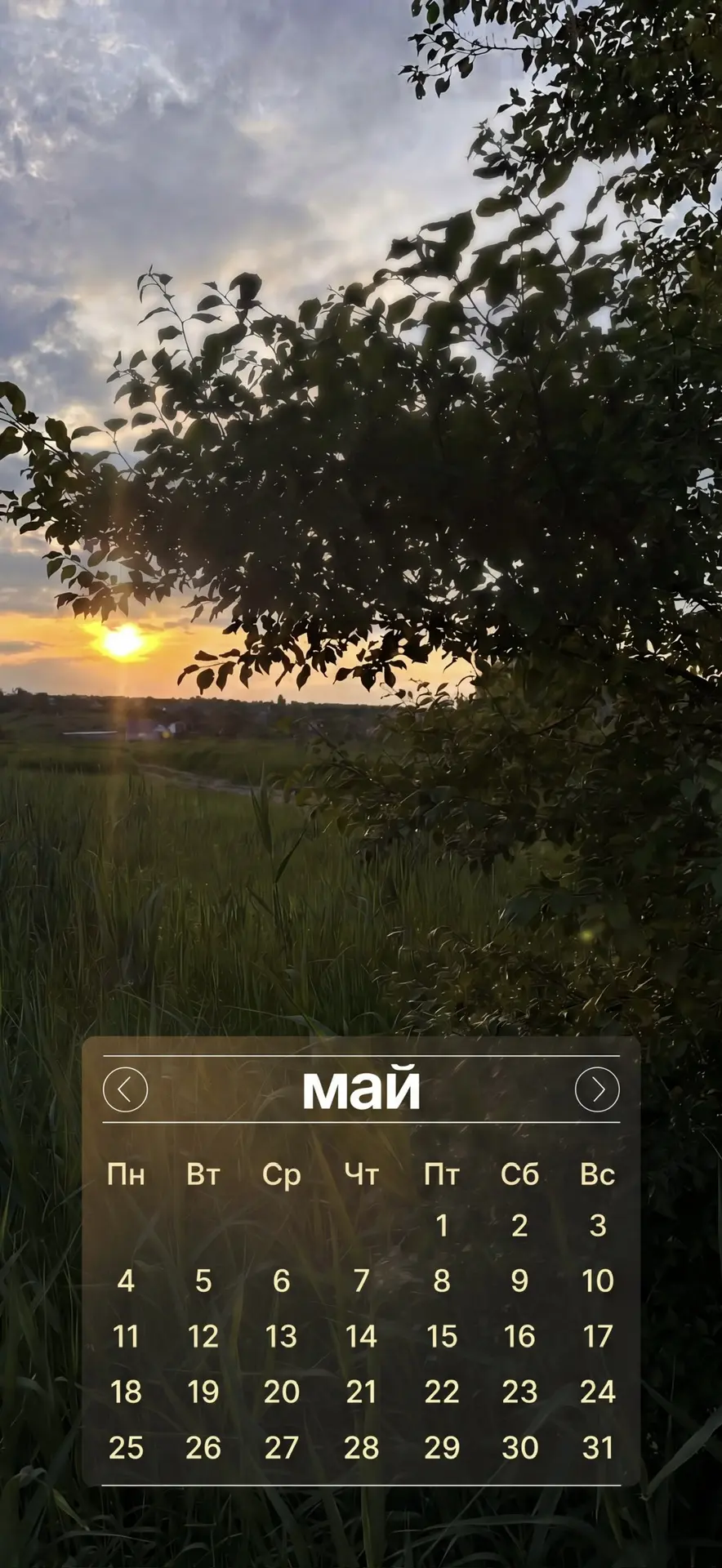 Дорогие друзья, сегодня 1 мая! 🌿