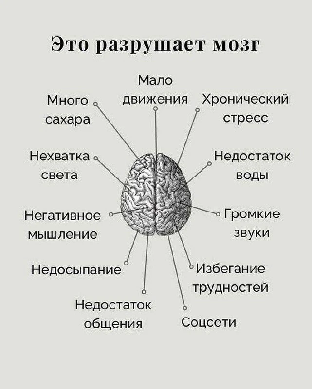 Что разрушает мозг? 🧠