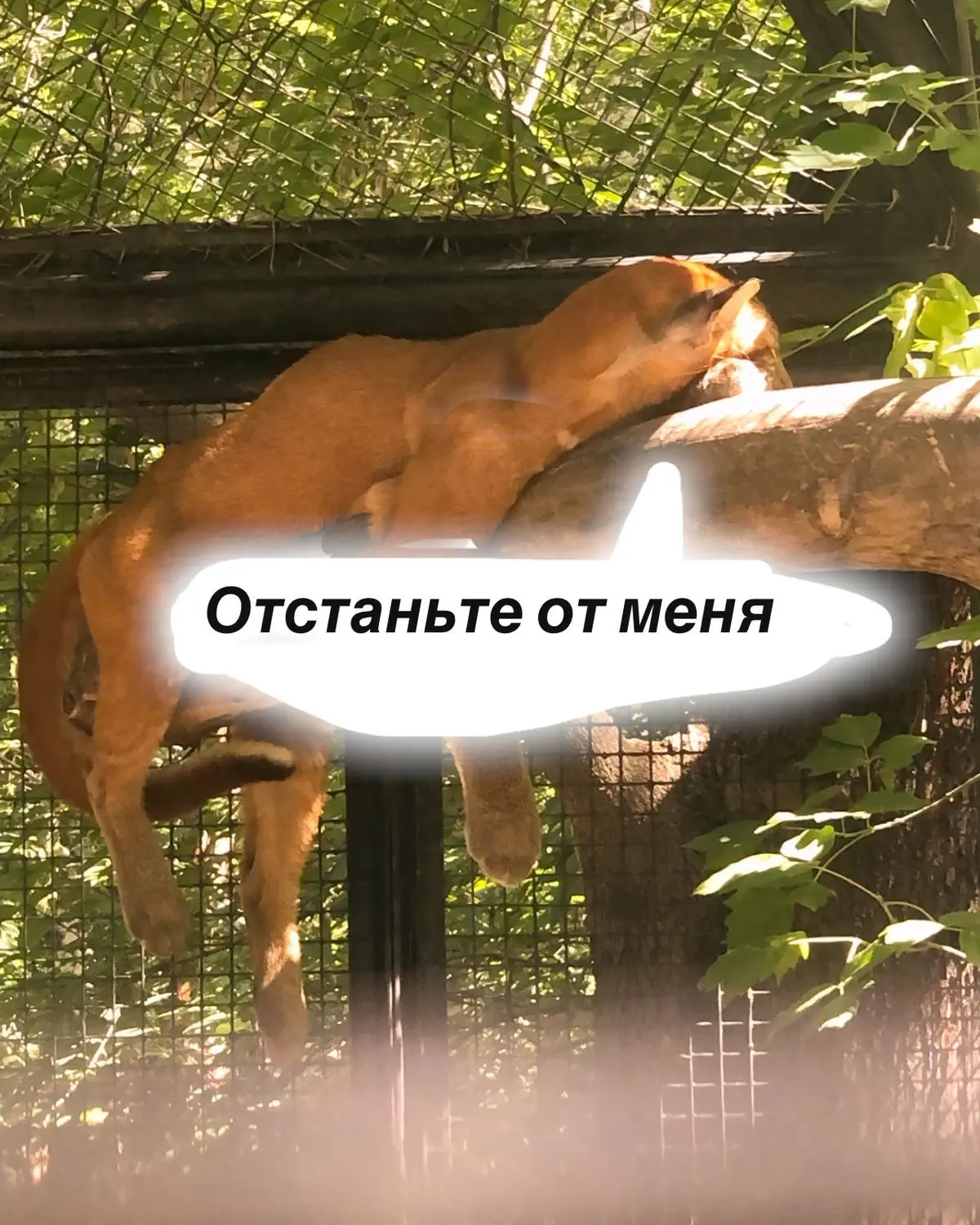 СКОРПИОН, 22 июня. Да пошли ты их всех

🛑Твои личные предсказания судьбы в нашем боте - max/GOROSKO