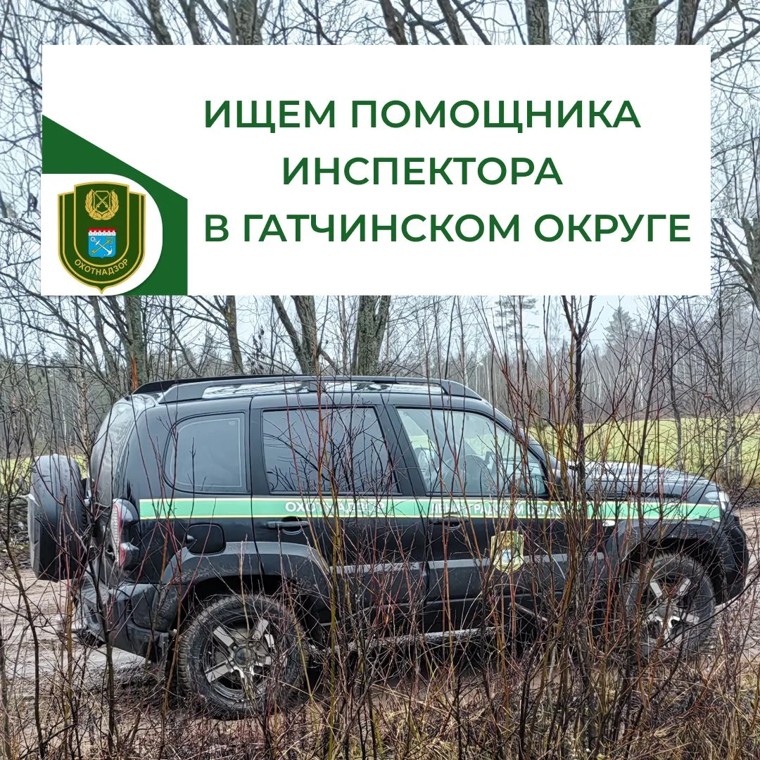 Подведомственное комитету ЛОГКУ «ЛЕНОБЛОХОТА» приглашает на работу ведущего специалиста отдела охран