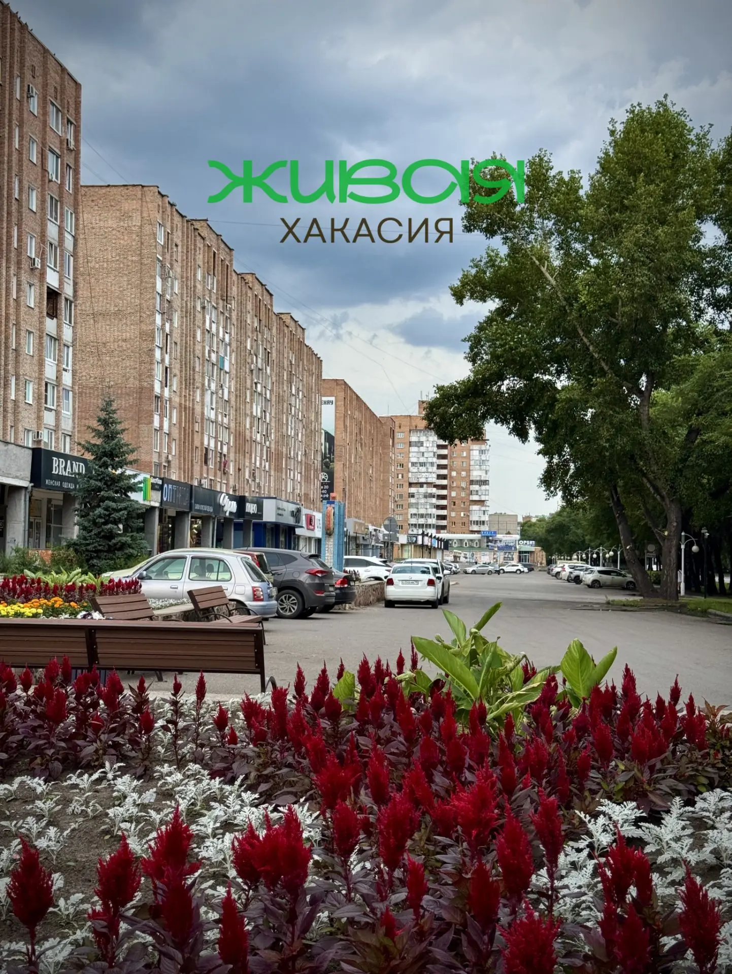 Лето — время сочных красок 🎨

А как проходит ваше лето❓