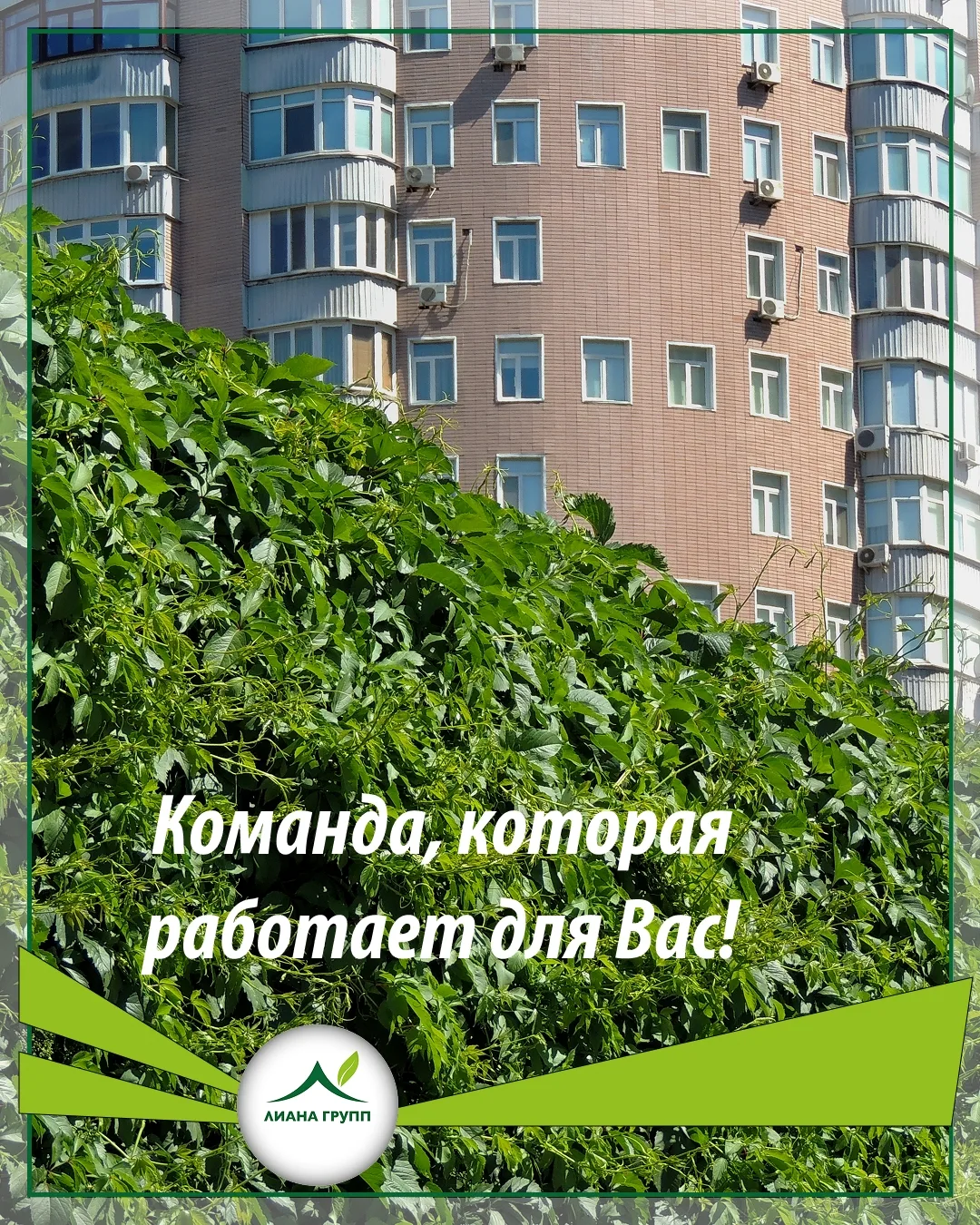 👋 Друзья, знакомьтесь — ЛИАНА ГРУПП!