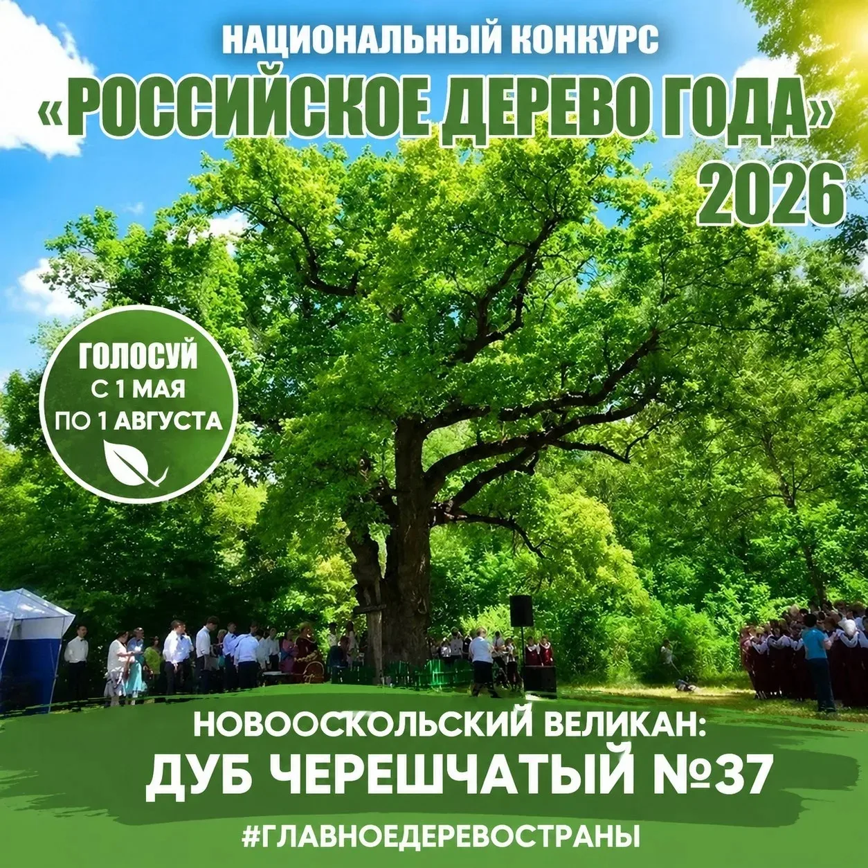 Конкурс «Российское дерево года» является национальным отборочным этапом ежегодного меж...
