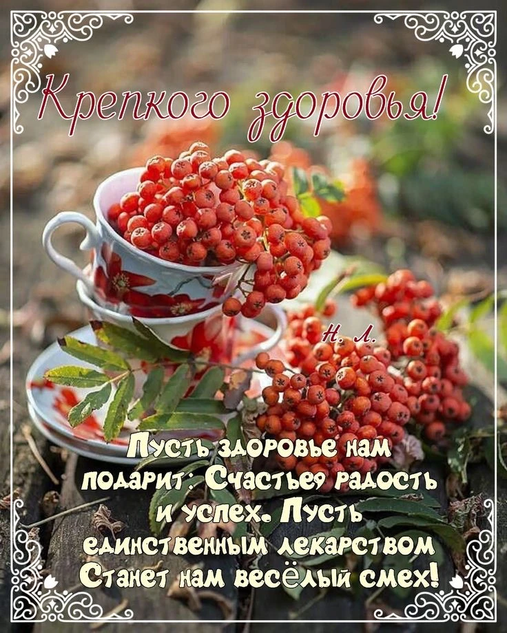 Больше открыток тут👇
