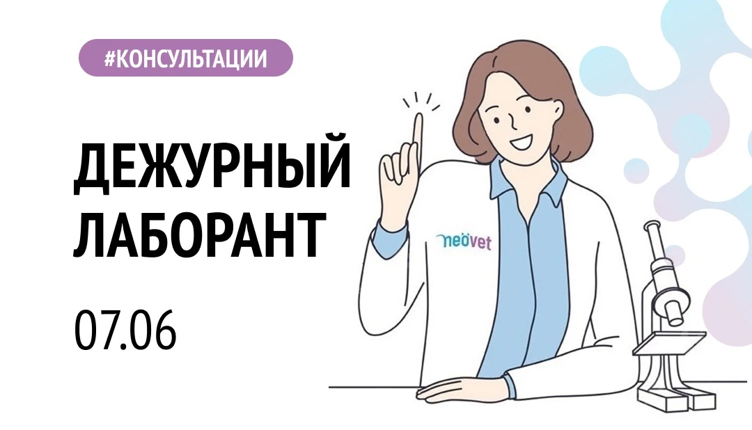 ДЕЖУРНЫЙ ЛАБОРАНТ💡