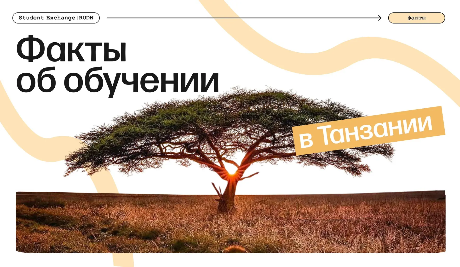 Интересно, а как здесь учатся?
