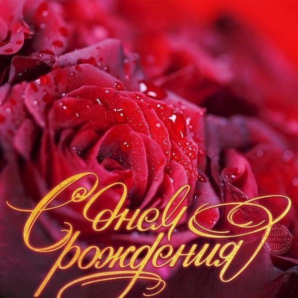 🥳 #день_рождения