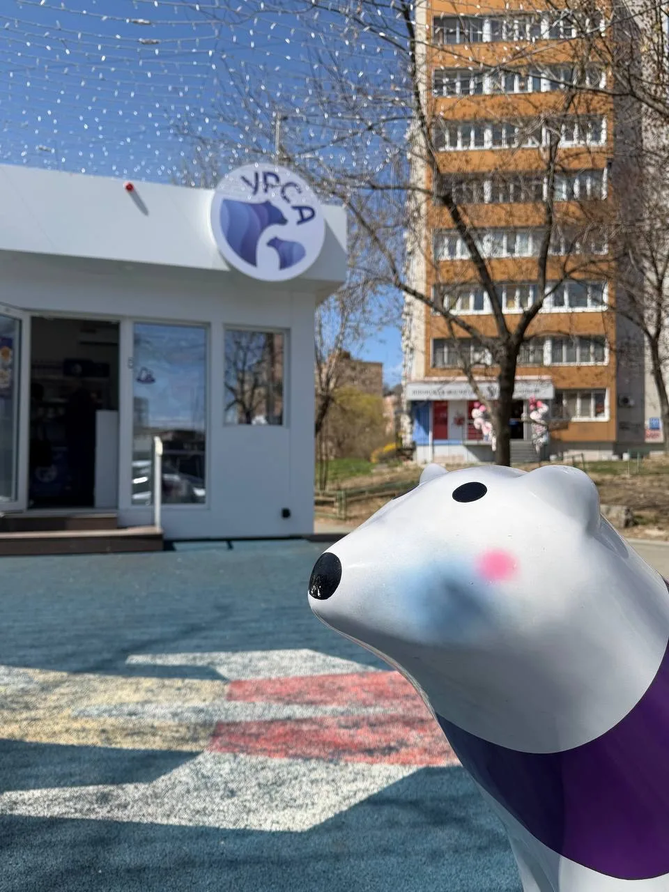 Наш мишка вернулся домой 🐻‍❄️