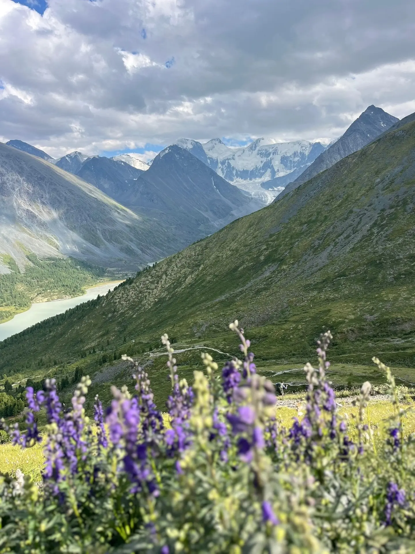 К подножию Белухи😍