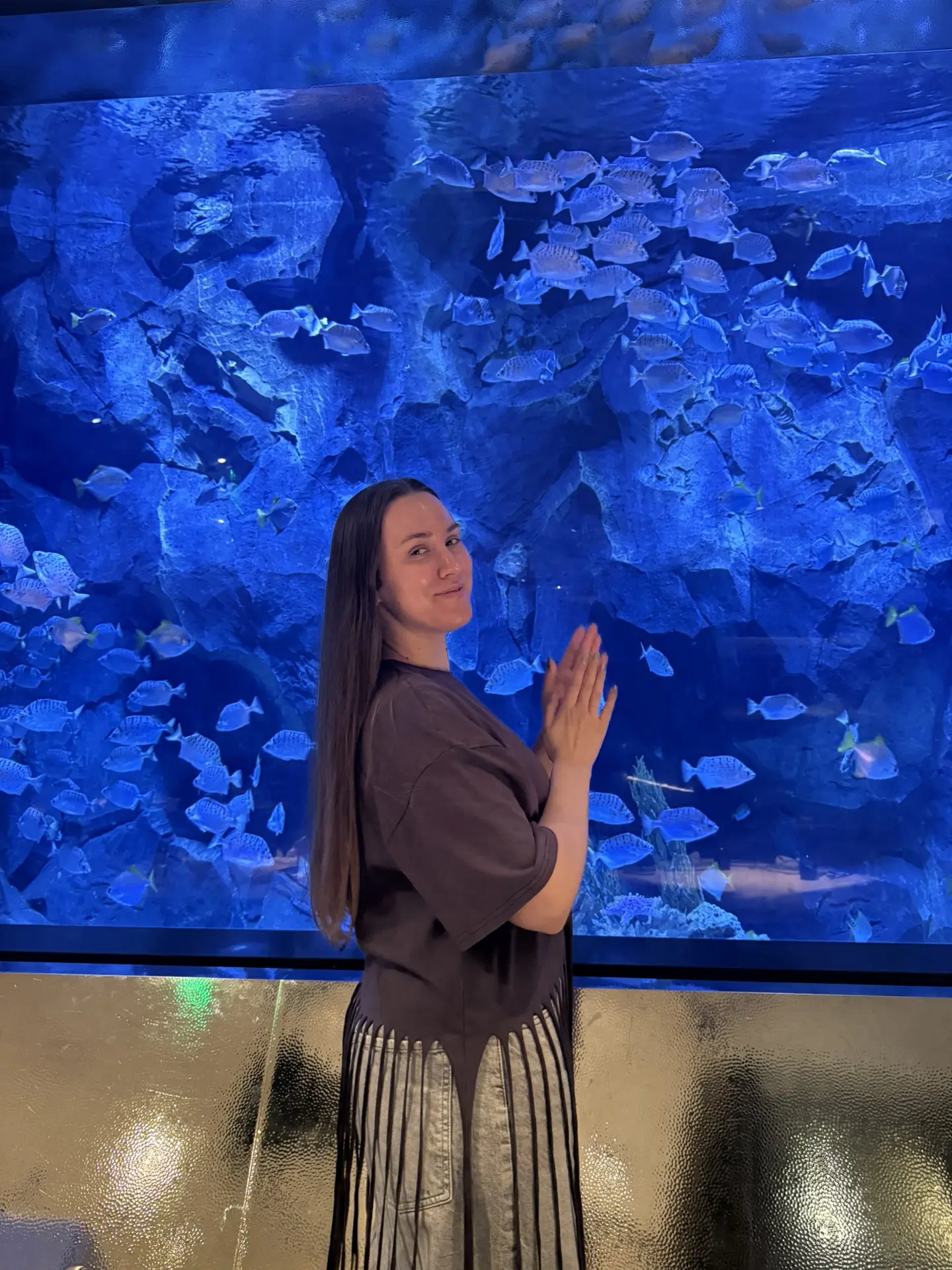 На ужине с акулами 🦈
