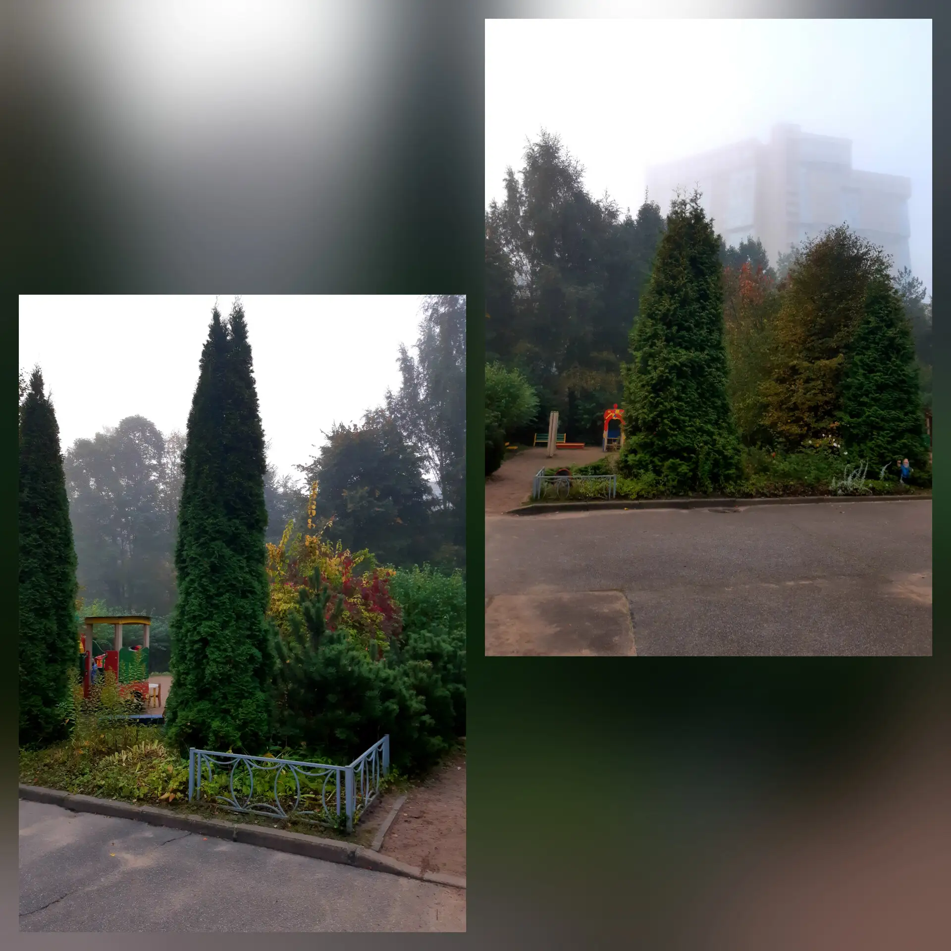 🏵НА ДНЯХ ВЕРНУЛАСЬ