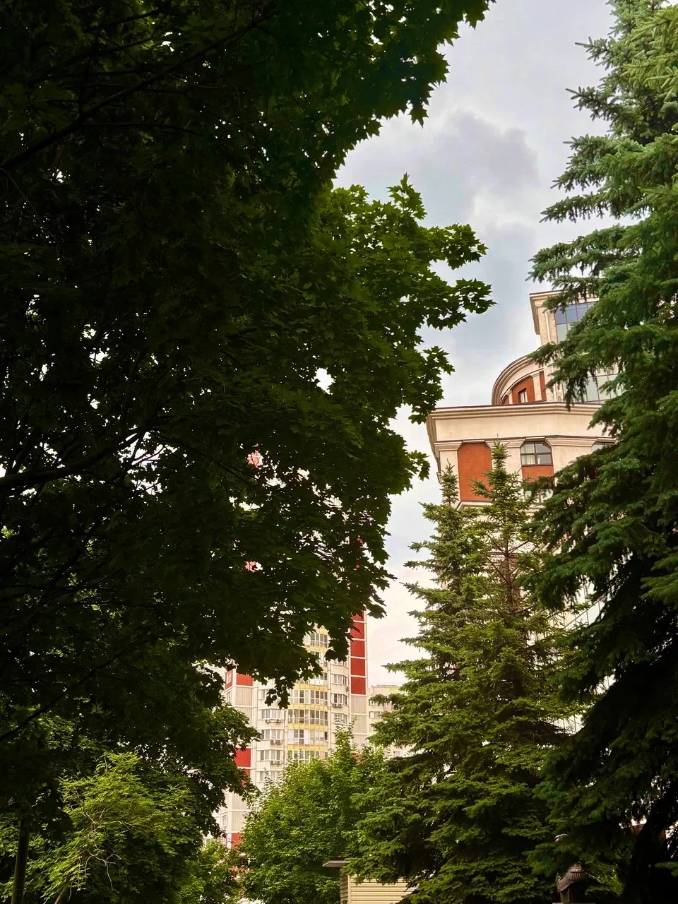 ▶️ФТД: ПОСТ ПРИНЯТ 

Иногда лучшие кадры – прямо за порогом. 

🍃 Сегодня в объективе цветы, зелень 