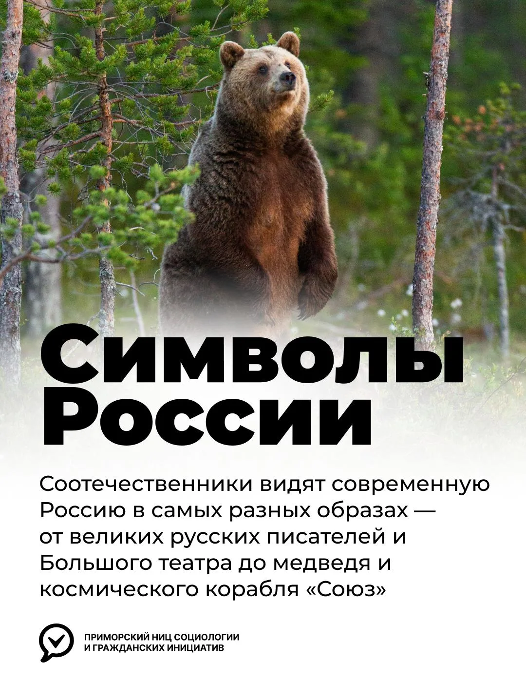 🇷🇺 Какие символы лучше всего отражают Россию сегодня