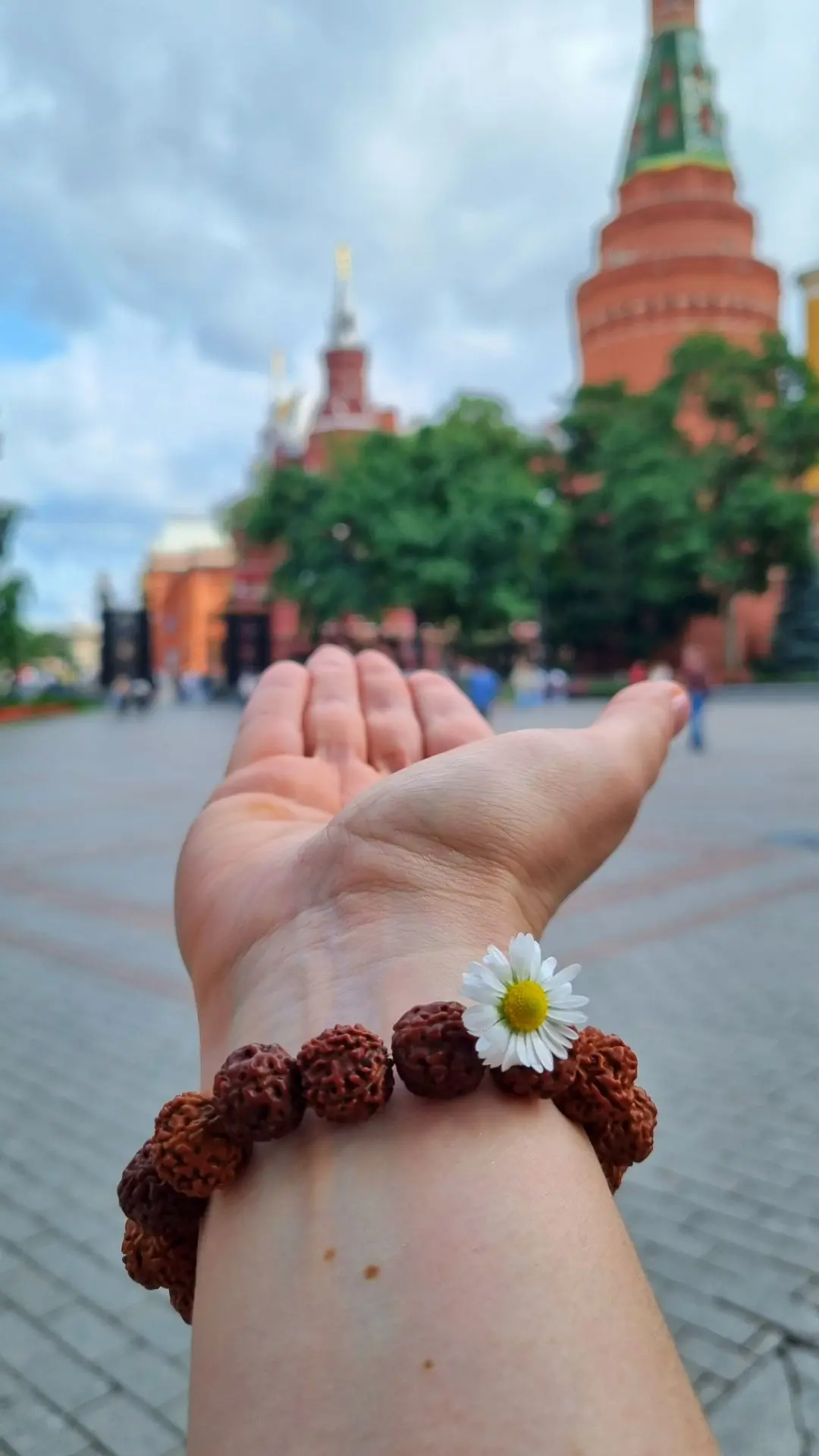 ВСЕМ ЧУДЕСНОГО ДНЯ ❤️!