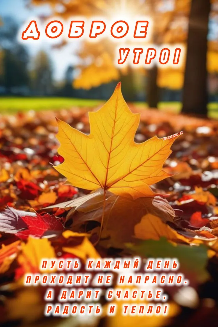 Доброе утро!🧡
