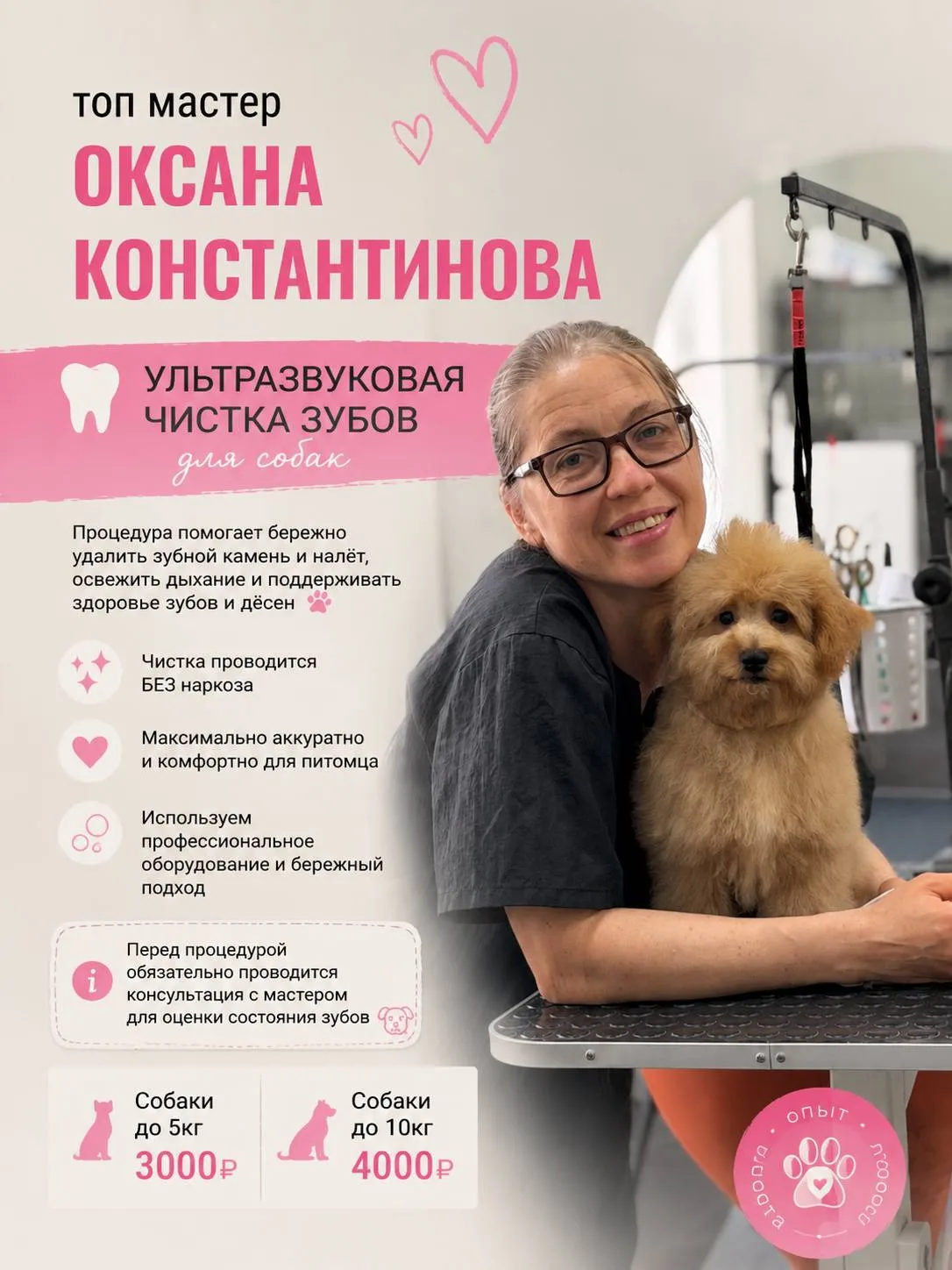 Ультразвуковая чистка зубов для собак без наркоза 🦷

Здоровые зубы - это не только красивая улыбка 