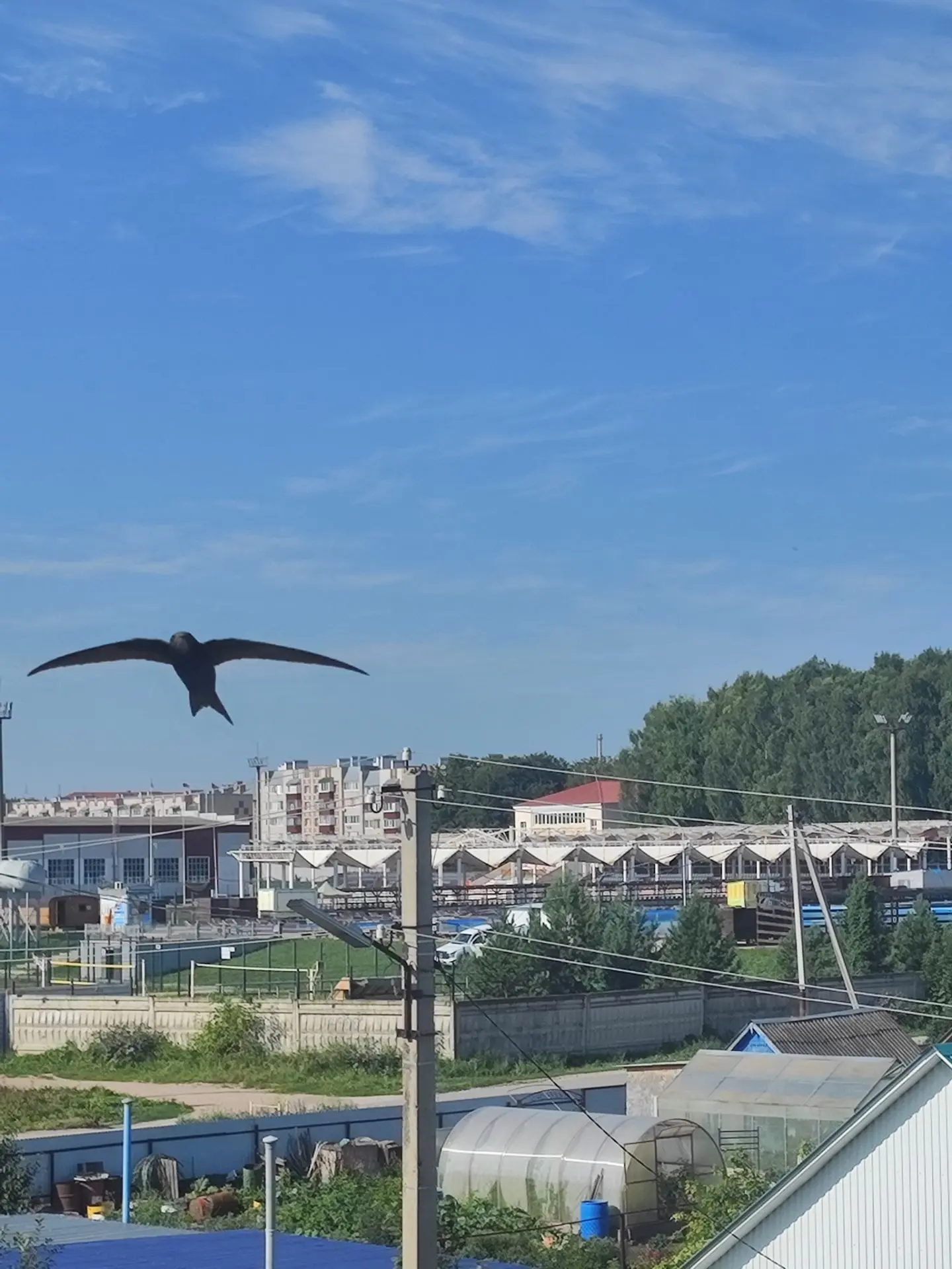 +34 второй день.

Чуток плавимся, но не жалуемся. У нас тут полный всё включено, даже бассейн под ок