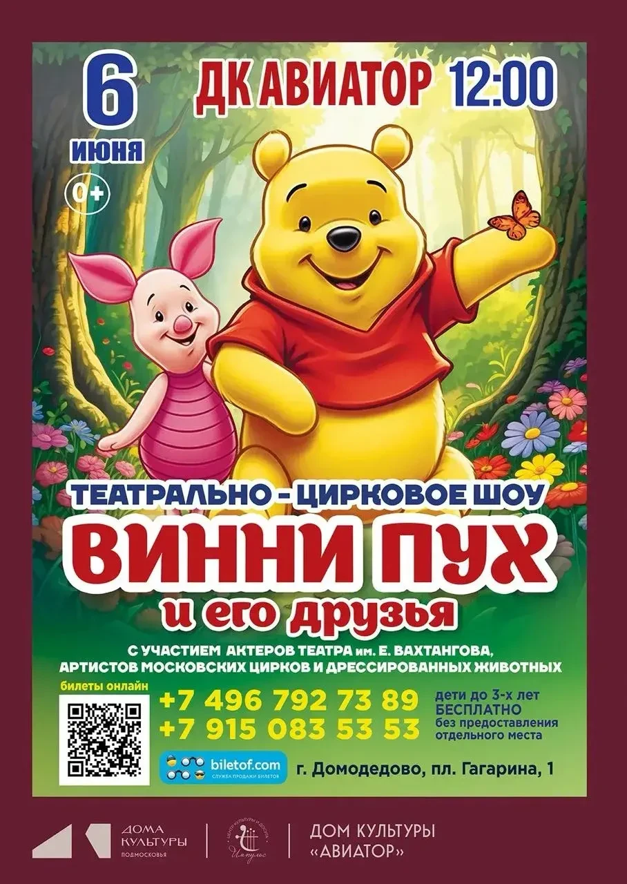 «Винни Пух и его друзья» театрально-цирковое шоу