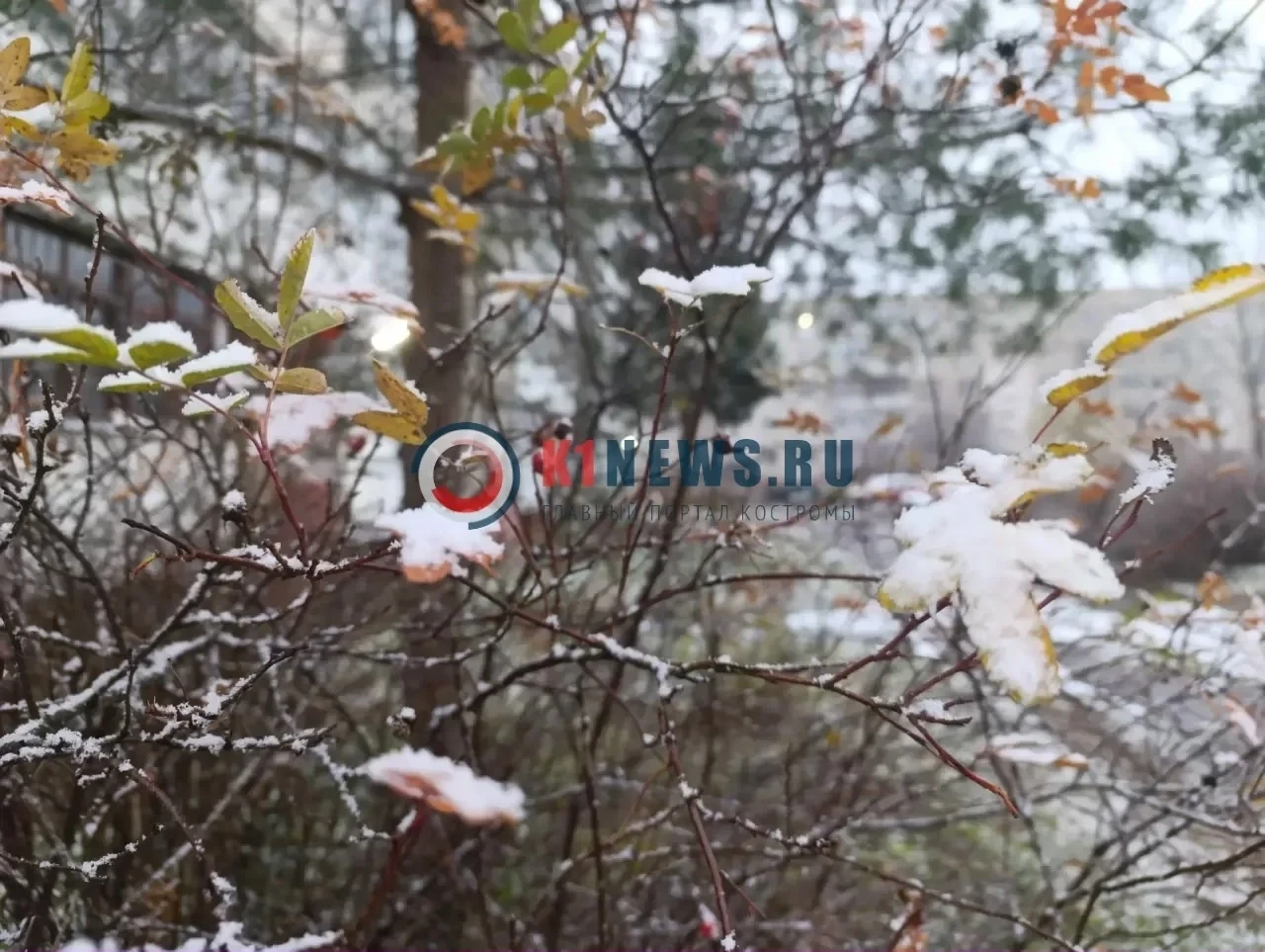 От снега — к лету: прогноз погоды в Костромской области на неделю