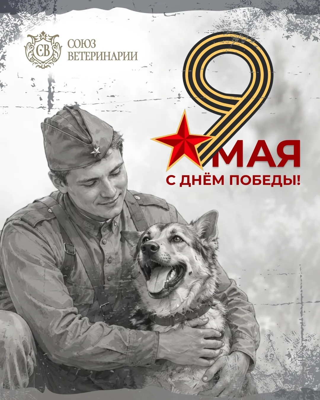 Товарищи, братья и сестры.
