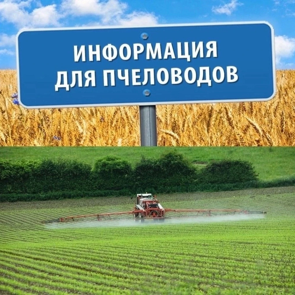 Уважаемые пчеловоды Старобезгинской сельской территории!

Сообщаем вам, что  с 27 июня по 15 июля 20