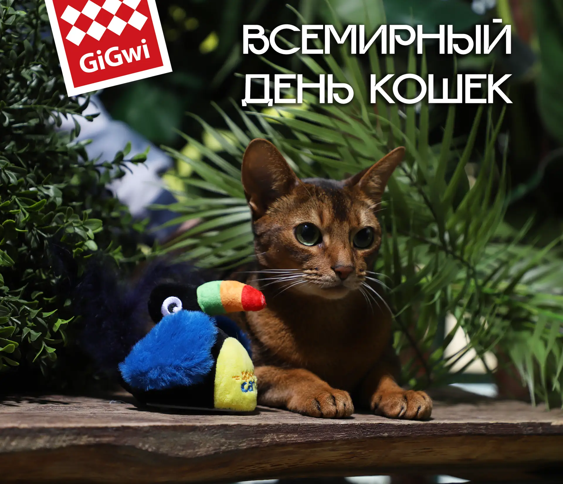 С Днем кошек! Пусть ваши котики сегодня выберут качественную игрушку, а не шуршащий пак...