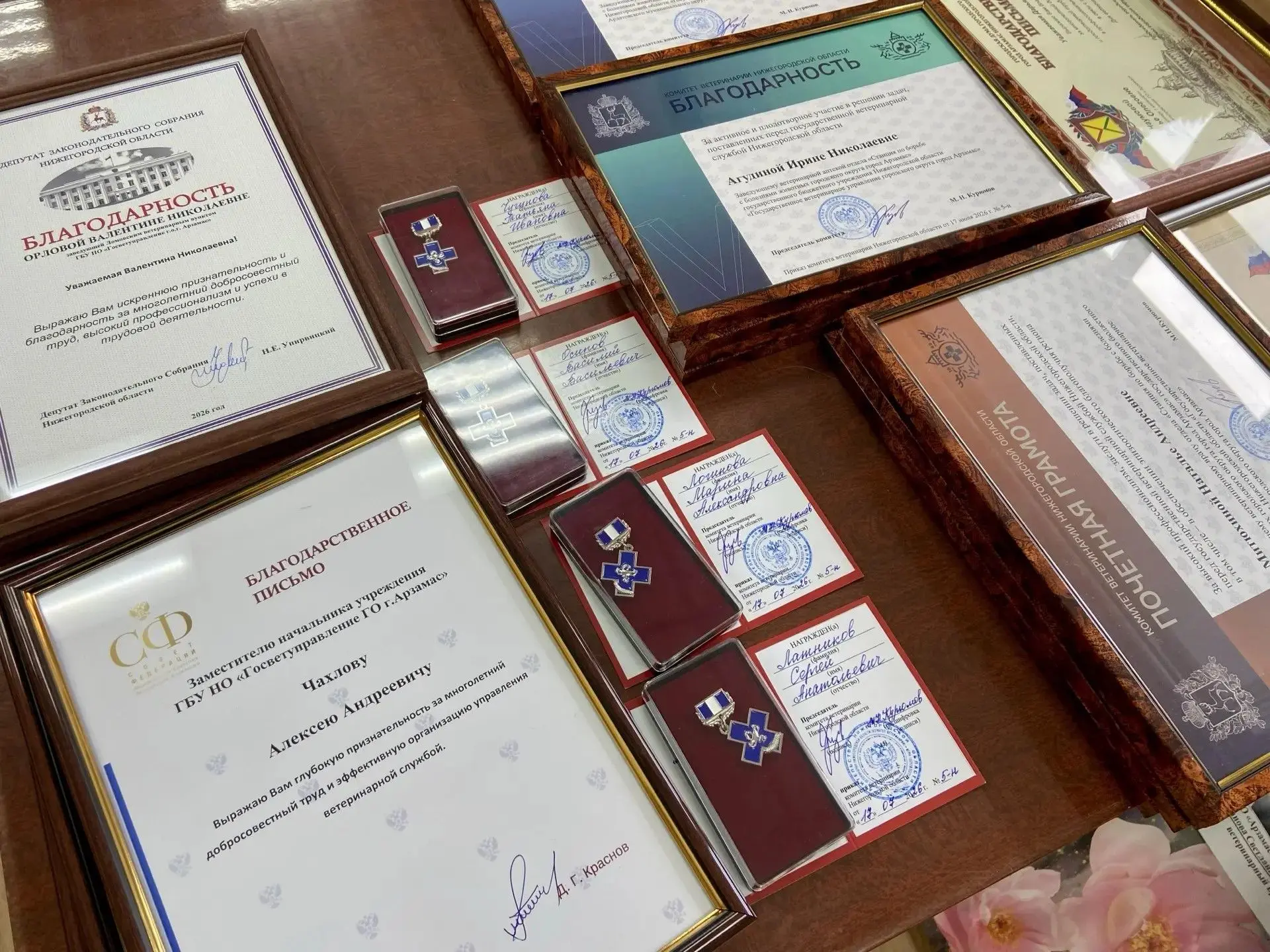 В Арзамасе чествовали ветеринаров накануне профессионального праздника