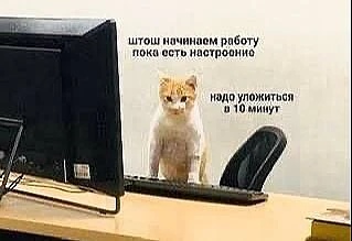 🐕‍🦺 Питомца можно взять с собой на работу

Это возможно, если на рабочем месте нет особых санитарн