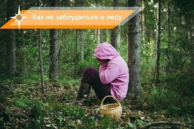 Перед походом в лес: