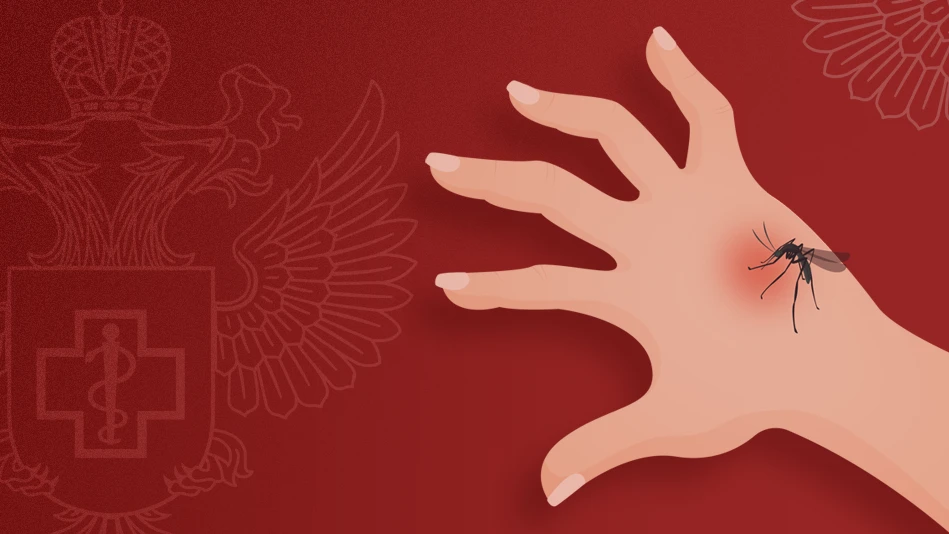 🍁 С конца августа – начала сентября обычно наблюдается вторая волна активности членист...