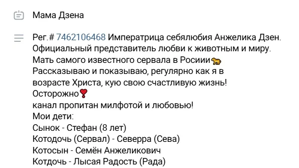 Самый успешный успех. Живущей с котами блогерше отказали в возврате потерянных из-за санкций денег


