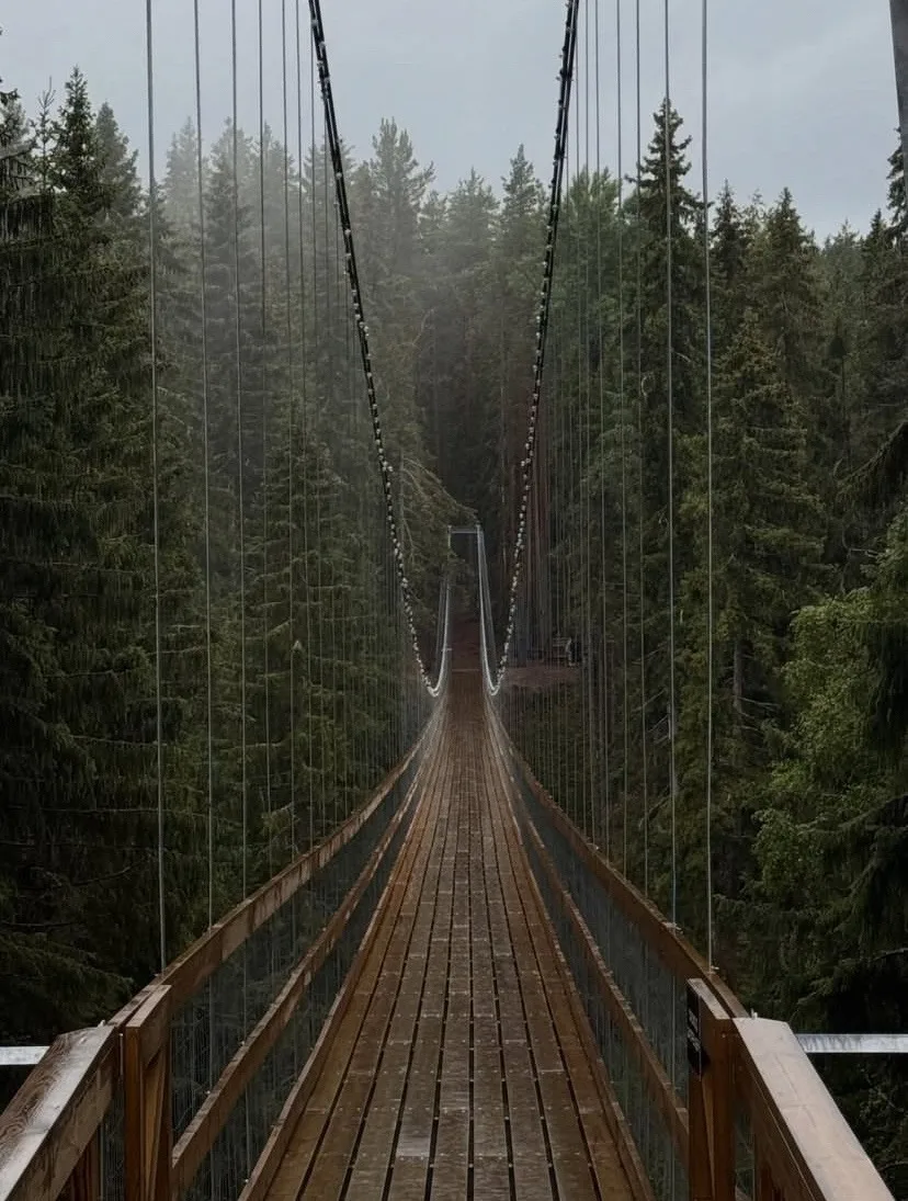 Север🌲