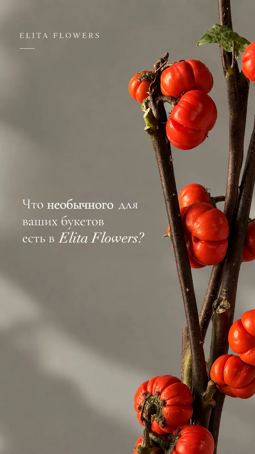 Любим необычные цветы.