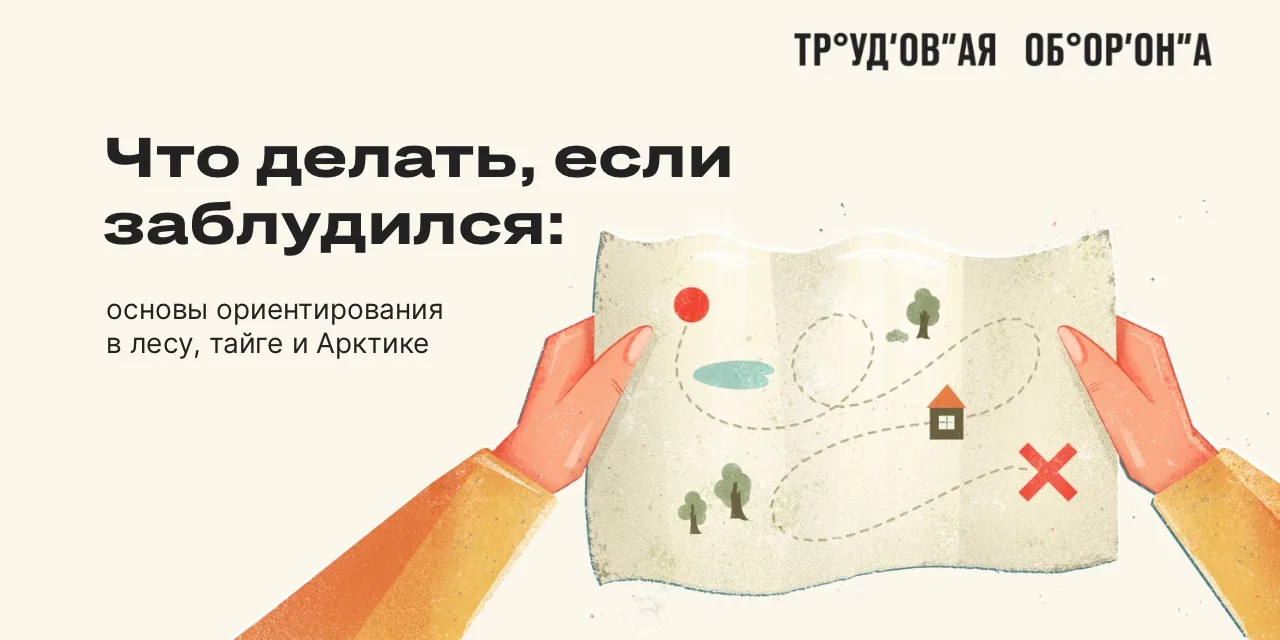 Вы в лесу. Связи нет. Тропинки похожи одна на другую. Ориентир потерян. Что делать?