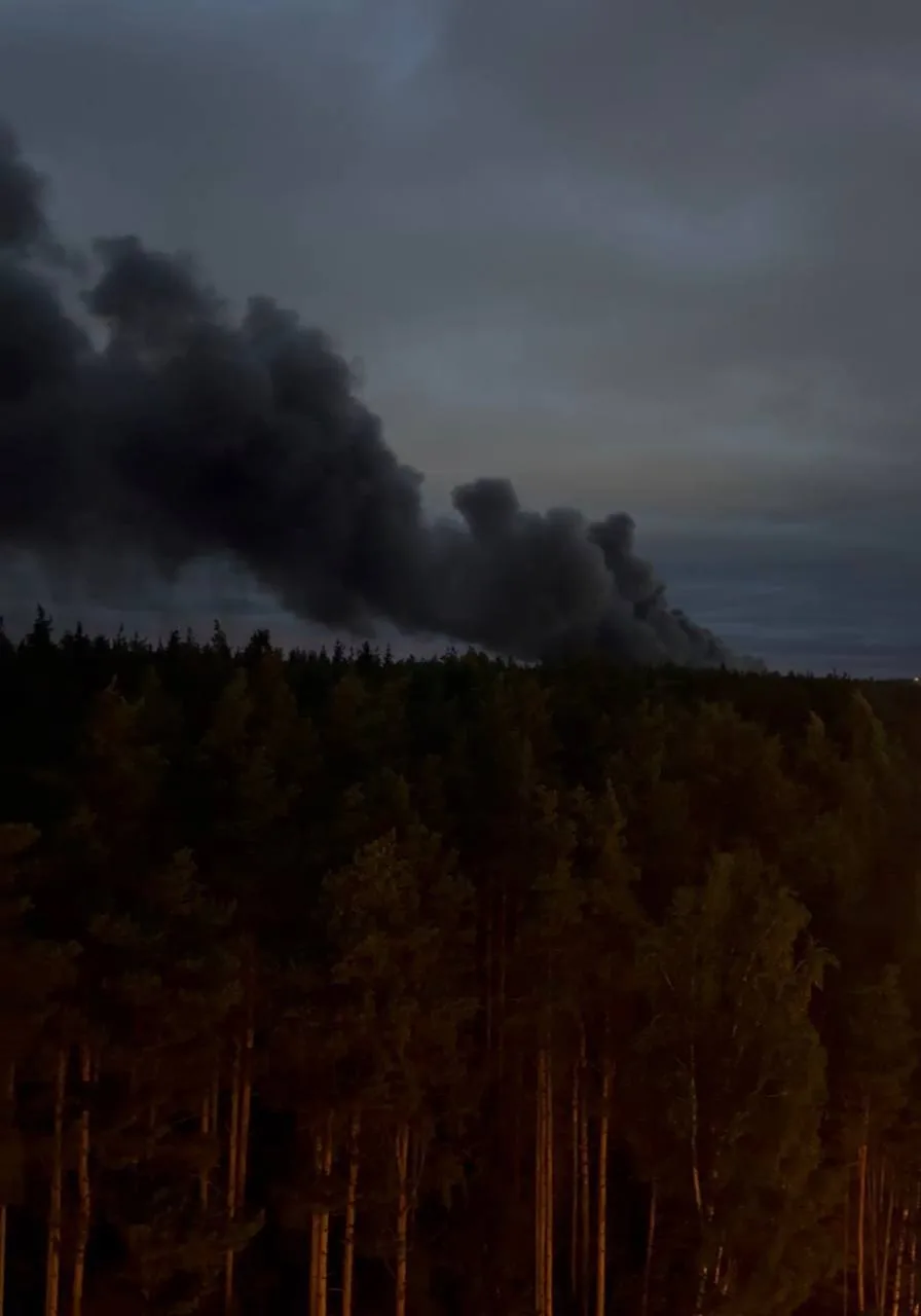 🤯 Во Всеволожске крупный пожар — предположительно, горят гаражи на Южном шоссе