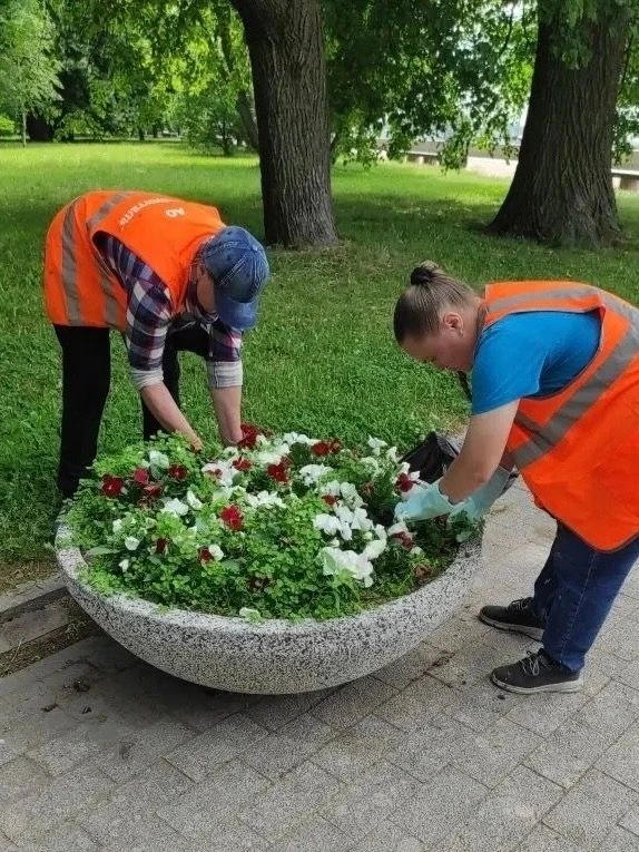 Сады и скверы продолжают облачаться в разноцветные наряды.

В сквере Блокадников разместили в вазы б