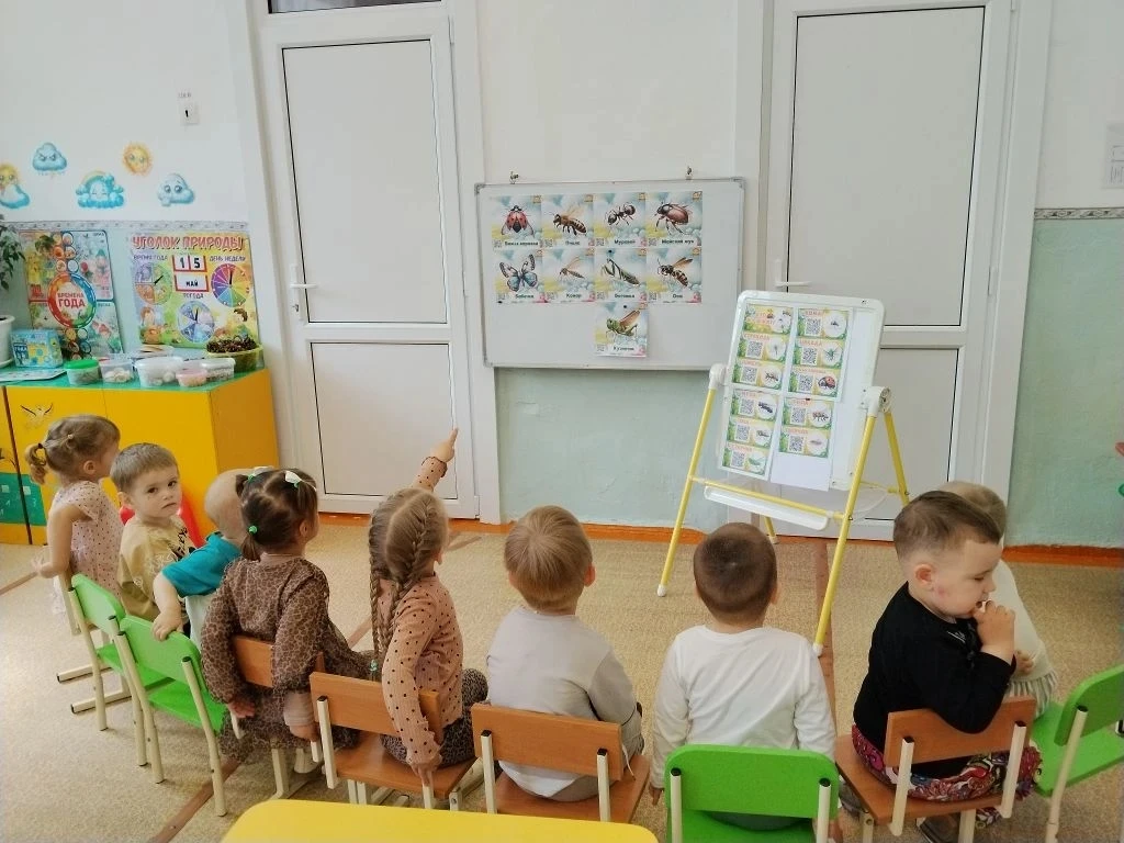 Тематическая неделя "Насекомые"