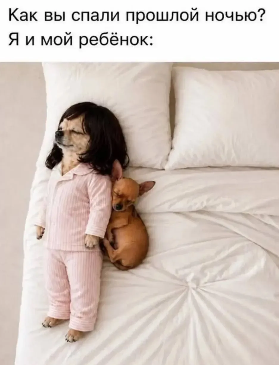 Мемотур))
