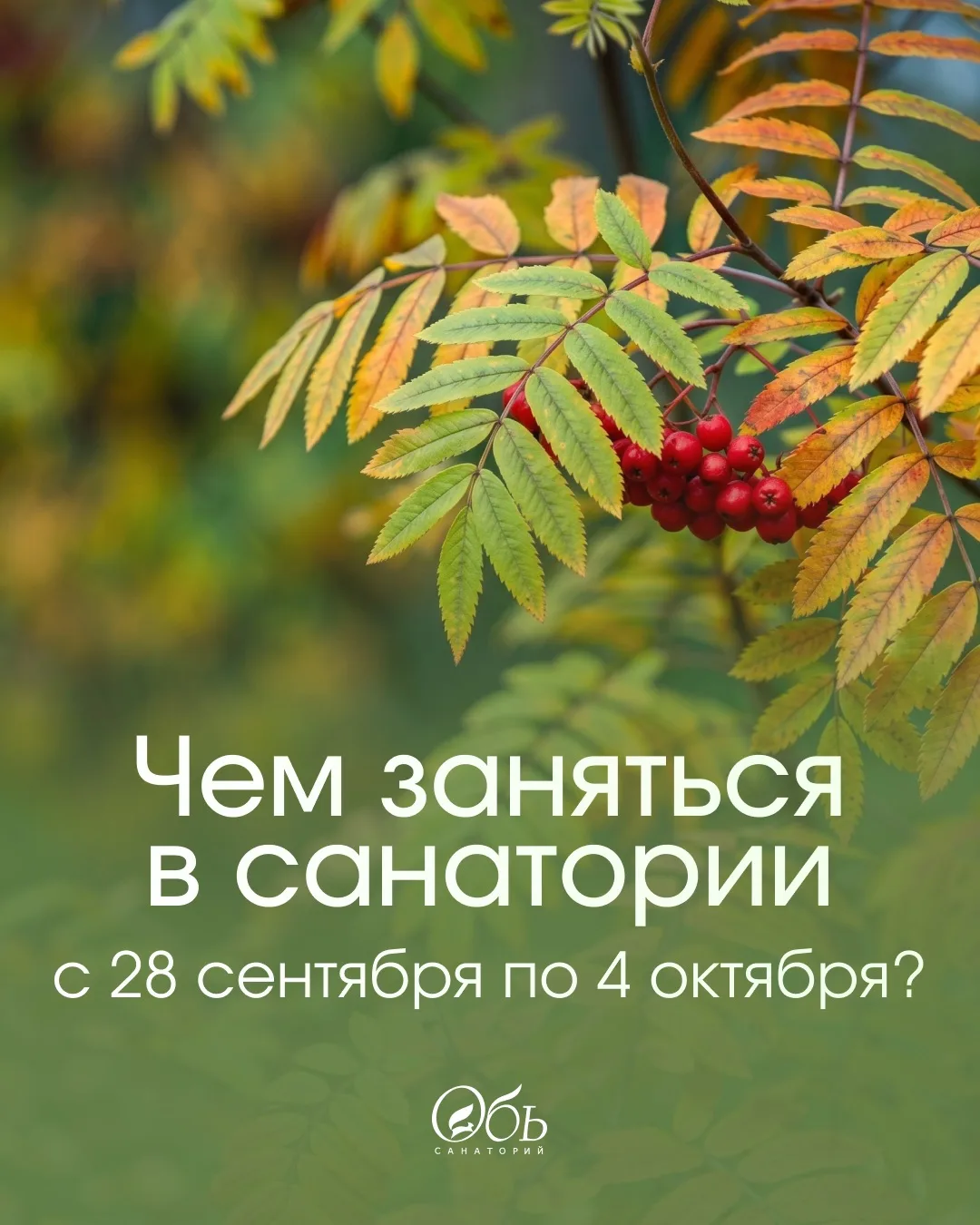 Новая неделя — новые события! Санаторий «Обь» приглашает гостей на насыщенную программу...