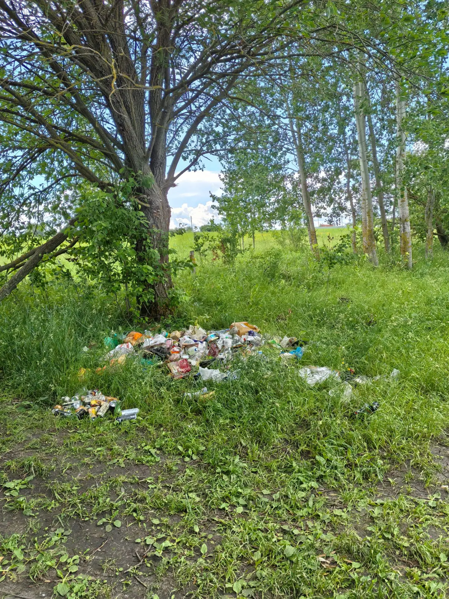 Всем добрый день! Сегодня был дома, товарковский пруд, на рыбалке. Вот такая картина на берегу!