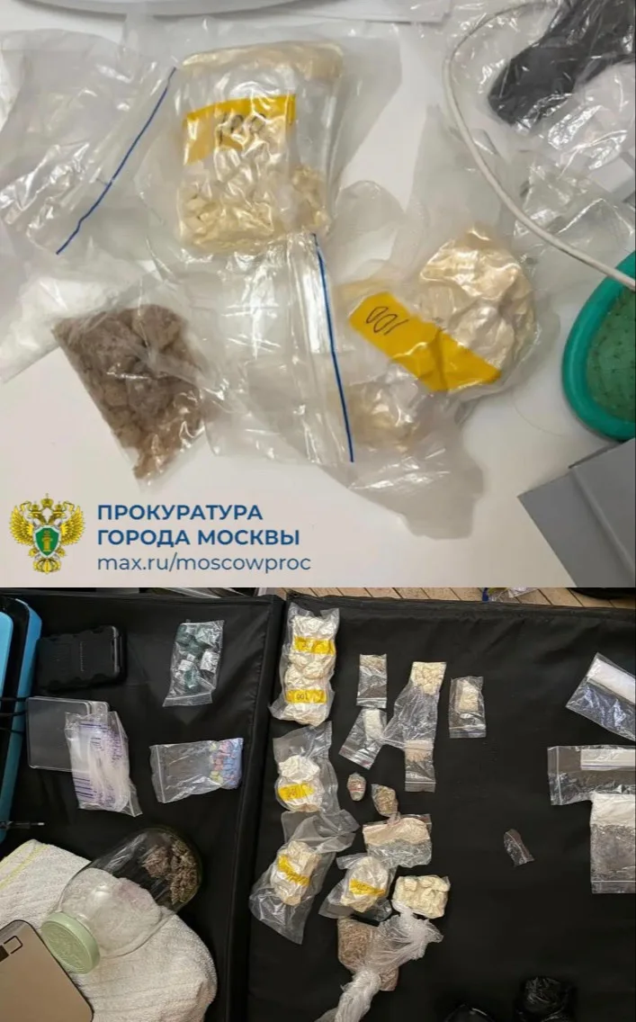 С учетом позиции Перовской межрайонной прокуратуры суд заключил под стражу женщину, перевозившую нар