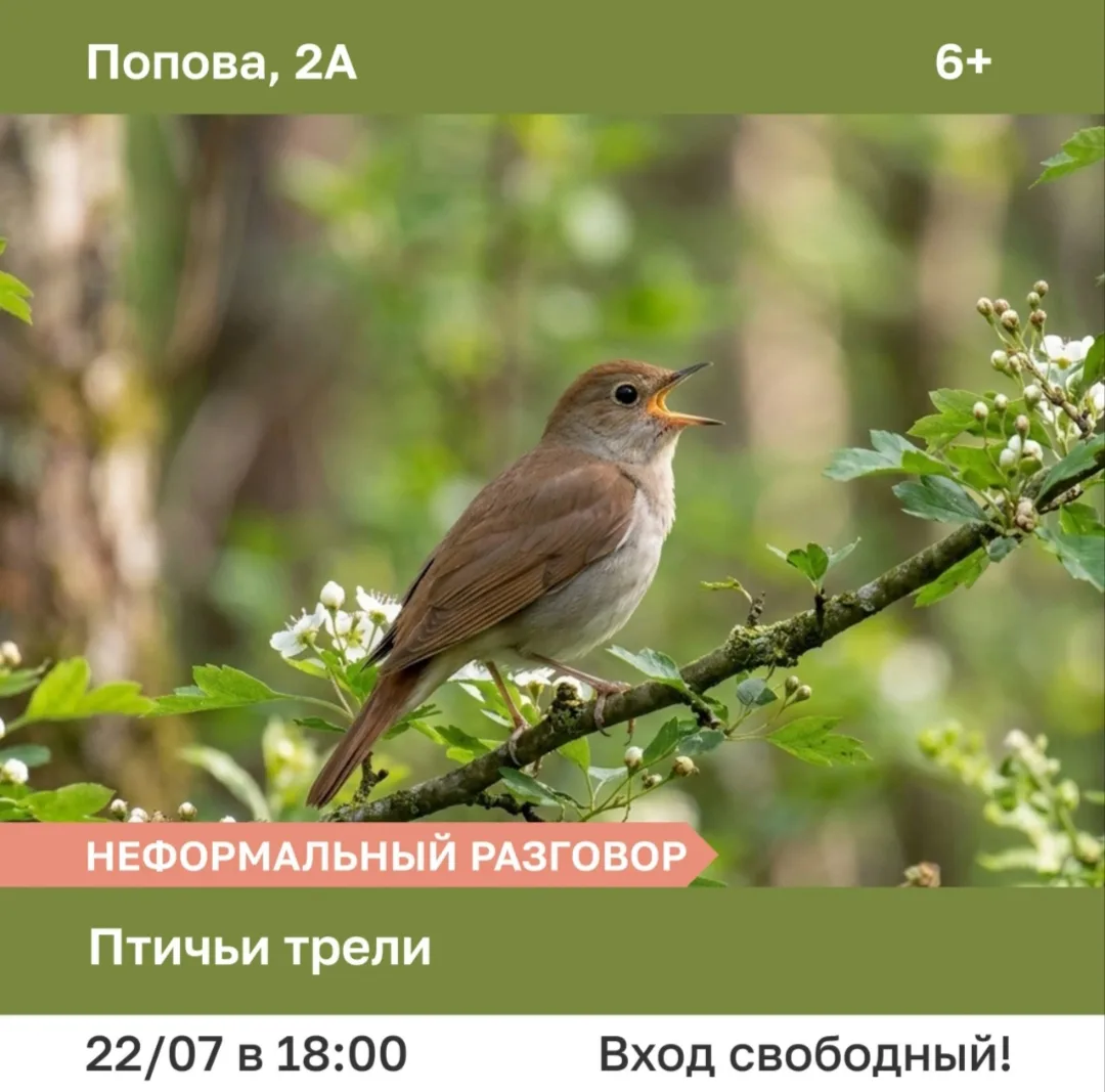 #Анонс💡

📢В среду, 22 июля, в 18:00 наш музей открывает двери для неформального разговора «Птичьи 
