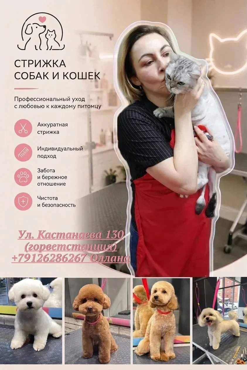 Мастер с 10 летним стажем . предлагаю услуги по стрижке собак и кошек на косметике прем...