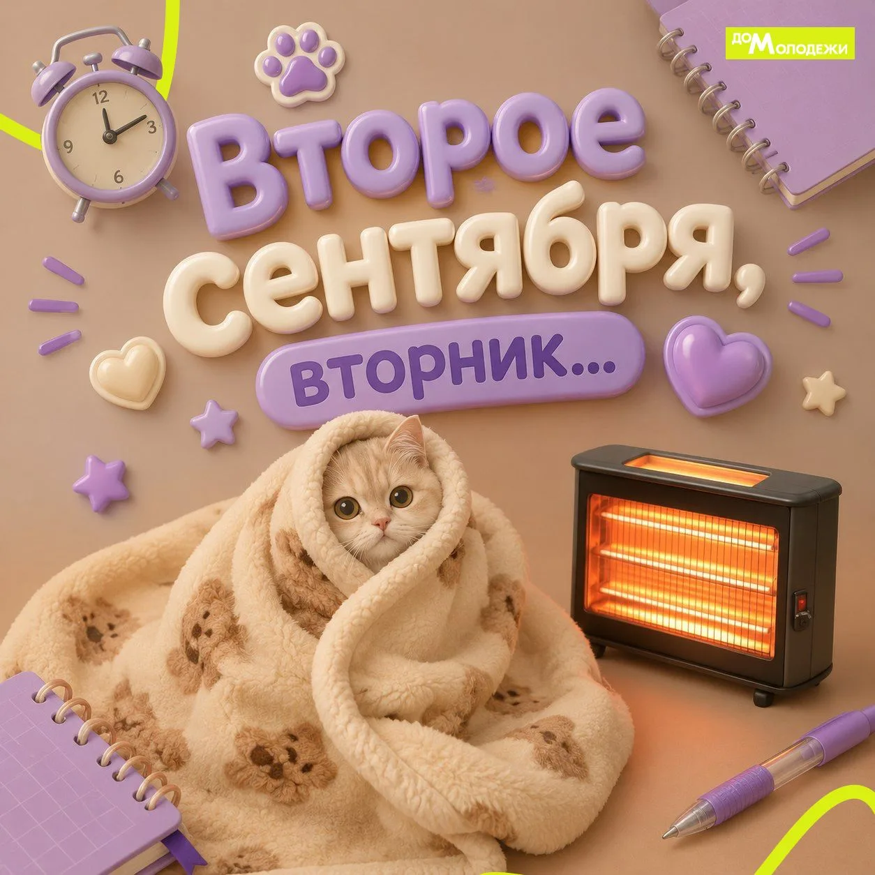 Сегодня второе сентября... И градусник показывает, что лето уже прошло... 🥶Ваши действия?