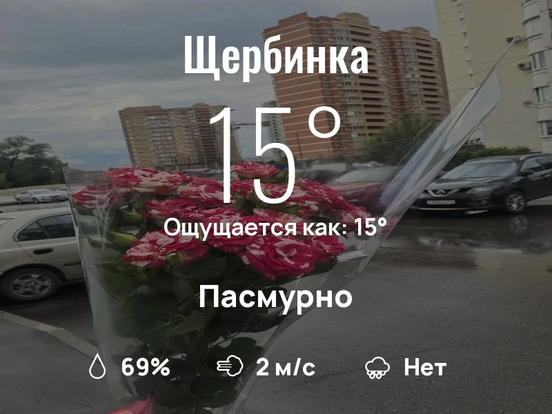 Что с погодой в Щербинке?